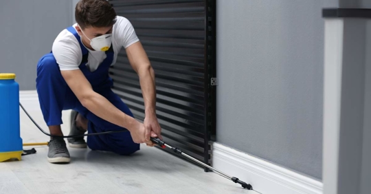 Pest Control Worker Spraying Pesticide in Commercial Property