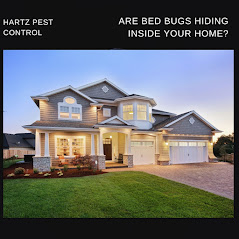 An advertisement asks "Are bed bugs hiding inside your home?" and shows a picture of a large, luxurious house.